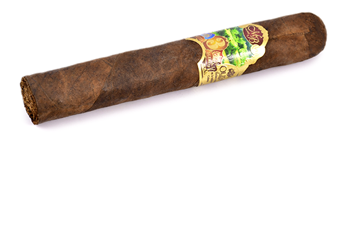  Oliva - Master Blends 3 - Robusto (1 .)