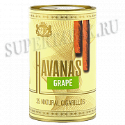  Havanas - Grape ( 35 )