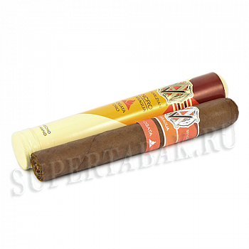  AVO - Syncro Nicaragua Fogata - Toro Tubo (1 )