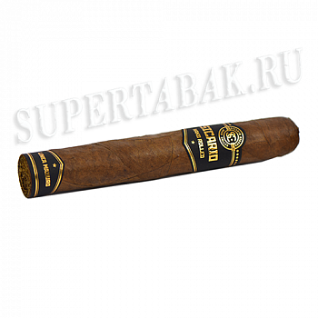  Sicario - Toro Linea Maduro (1 .)