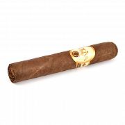  Oliva - Serie "G" - Double Robusto (1 .)