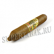  Ashton - VSG Series - Enchantment Special Perfecto (1 )