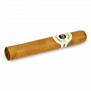  Ashton Classic Series - Magnum Robusto (1 .)