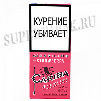  Cariba Wood Tip Strawberry - 4 .