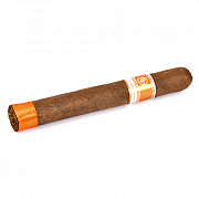  Rocky Patel - World Championship - Toro (1 .)