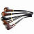  Mr. Brog -  - 14 Churchwarden ( )