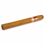  Dominican Estates Classic - Churchill (1 .)