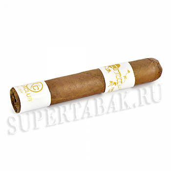  Principle Cigars Accomplice Classic White Band - Robusto (1 .)