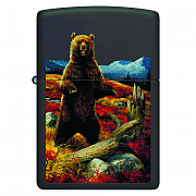  Zippo 48597 - Linda Picken