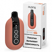 POD- Plonq Ultra (12.000 ) -  -  - 2% - (1 .)