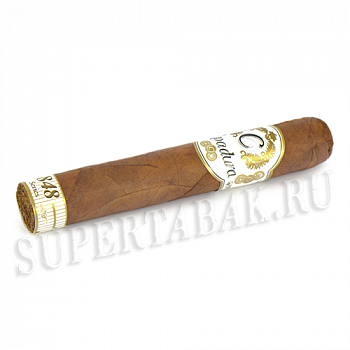  Capadura - 848 Series - Robusto (1 .)